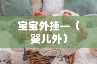 宝宝外挂—(婴儿外) 宝宝外挂—(婴儿外)