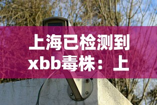 上海已检测到xbb毒株：上海流行的新冠毒株是什么