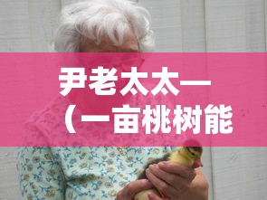 尹老太太—（一亩桃树能产多少桃胶）