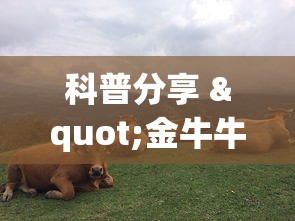 科普分享 "金牛牛牛有挂吗”附透视挂详细教程