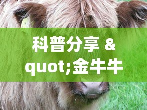 科普分享 "金牛牛牛有挂吗”附透视挂详细教程