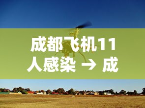 成都飞机11人感染 → 成都感染者 成都飞机11人感染 → 成都感染者