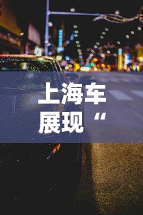 上海车展现“返阳潮”›上海返程客流迎高峰