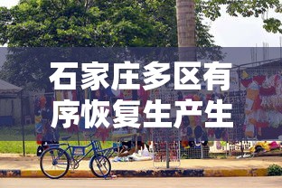 石家庄多区有序恢复生产生活秩序—（石家庄新的）