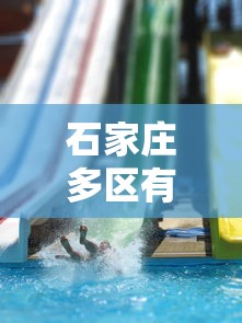 石家庄多区有序恢复生产生活秩序—（石家庄新的）