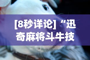 [8秒详论]“迅奇麻将斗牛技巧视频”揭秘透视辅助万能挂用法