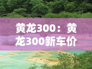 黄龙300：黄龙300新车价格