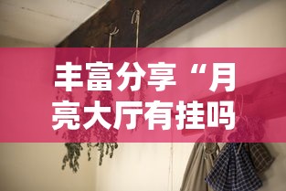 丰富分享“月亮大厅有挂吗”-开挂神器-包教包会