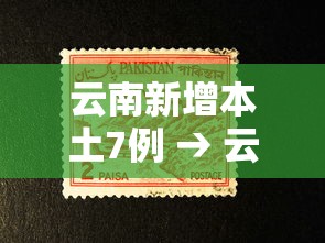 云南新增本土7例 → 云南新增本土7例病例 云南新增本土7例 → 云南新增本土7例病例
