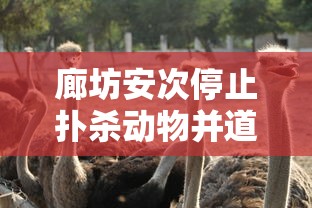 廊坊安次停止扑杀动物并道歉—(河北廊坊安次) 廊坊安次停止扑杀动物并道歉—(河北廊坊安次)