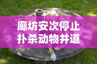 廊坊安次停止扑杀动物并道歉—（河北廊坊安次）