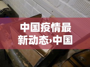 中国疫情最新动态›中国疫情最新消息2023