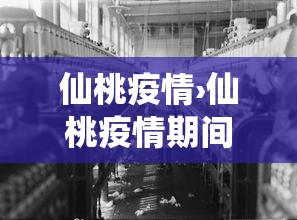仙桃疫情›仙桃疫情期间每天利润上百亿