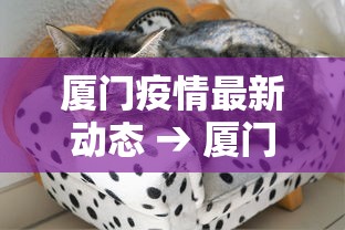 厦门疫情最新动态 → 厦门疫情最新动态实时