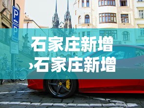 石家庄新增›石家庄新增多处电子警察