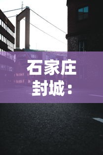 石家庄封城:石家庄封城鸽子 石家庄封城:石家庄封城鸽子