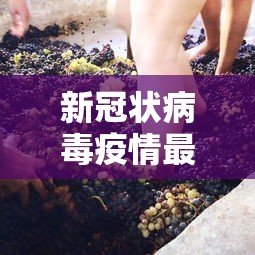 新冠状病毒疫情最新 → 新冠疫情最新消息今 新冠状病毒疫情最新 → 新冠疫情最新消息今