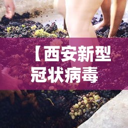 【西安新型冠状病毒·西安 新冠】 【西安新型冠状病毒·西安 新冠】