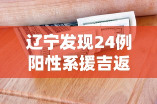 辽宁发现24例阳性系援吉返辽人员：辽宁引援