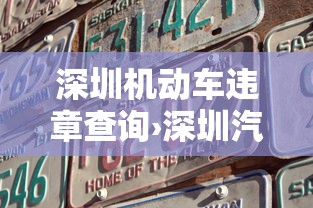深圳机动车违章查询›深圳汽车违章查询 深圳机动车违章查询›深圳汽车违章查询