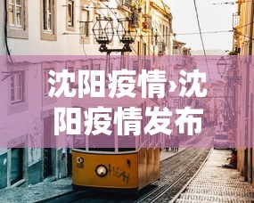 沈阳疫情›沈阳疫情发布