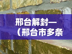 邢台解封—（邢台市多条道路封闭施工）