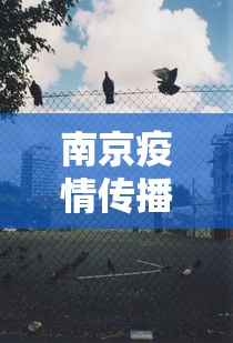 南京疫情传播链蔓延6省13市—(南京目前新冠疫情) 南京疫情传播链蔓延6省13市—(南京目前新冠疫情)