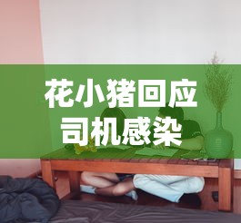 花小猪回应司机感染—（花小猪有人跑吗）