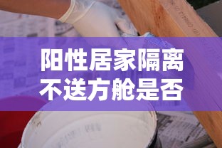 阳性居家隔离不送方舱是否可行?:新冠阳性在家隔离 阳性居家隔离不送方舱是否可行?:新冠阳性在家隔离