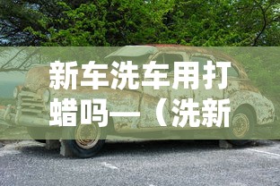 新车洗车用打蜡吗—（洗新车有必要加洗洁精吗）