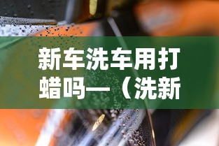 新车洗车用打蜡吗—（洗新车有必要加洗洁精吗）