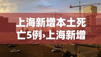 上海新增本土死亡5例›上海新增本土死亡病例的原因