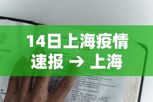 14日上海疫情速报 → 上海14日天气情况如何 14日上海疫情速报 → 上海14日天气情况如何