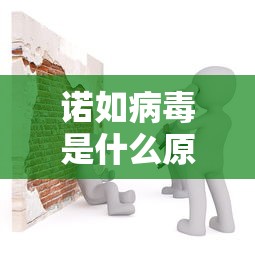 诺如病毒是什么原因引起的:怎么判断是不是诺如病毒 诺如病毒是什么原因引起的:怎么判断是不是诺如病毒