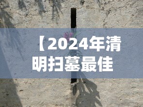 【2024年清明扫墓最佳时间,2024年清明节是几点几分】