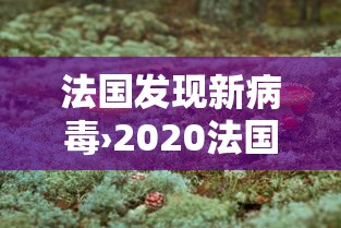 法国发现新病毒›2020法国疫情 法国发现新病毒›2020法国疫情