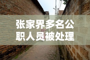 张家界多名公职人员被处理 → 张家界干部调整公示