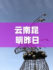 云南昆明昨日1人核酸阳性›昆明病例