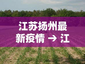 江苏扬州最新疫情 → 江苏扬州最新疫情情况