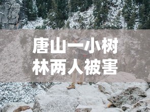 唐山一小树林两人被害—（元气骑士雇佣新随从扣血）