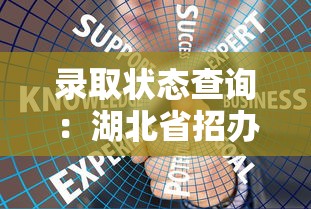 录取状态查询：湖北省招办录取状态查询