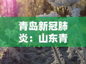 青岛新冠肺炎：山东青岛新型冠状