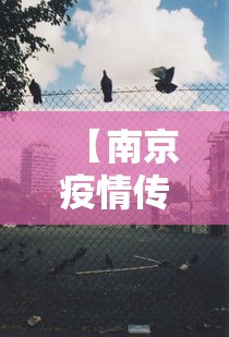 【南京疫情传播链蔓延6省13市,南京感染病例】
