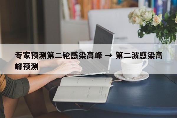专家预测第二轮感染高峰 → 第二波感染高峰预测