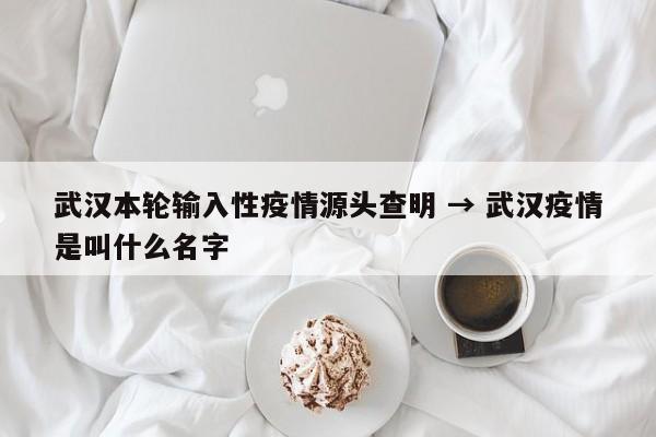 武汉本轮输入性疫情源头查明 → 武汉疫情是叫什么名字