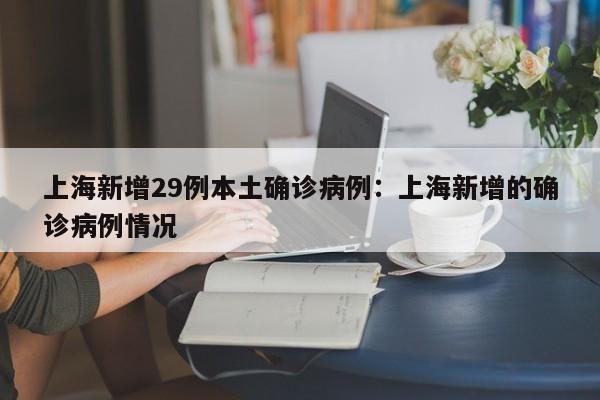 上海新增29例本土确诊病例：上海新增的确诊病例情况
