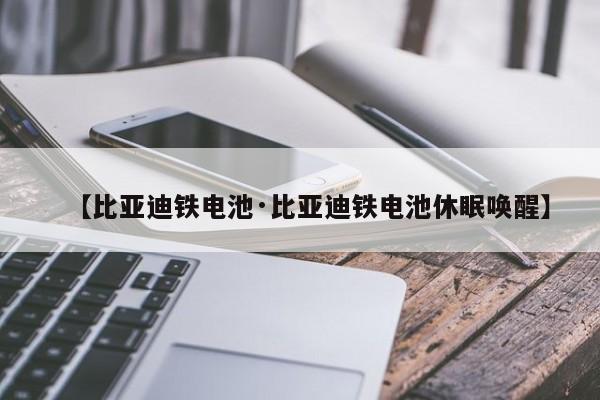 【比亚迪铁电池·比亚迪铁电池休眠唤醒】