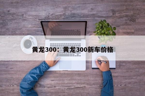 黄龙300：黄龙300新车价格