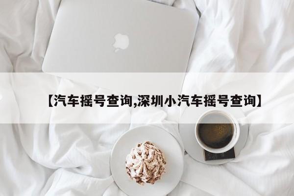 【汽车摇号查询,深圳小汽车摇号查询】