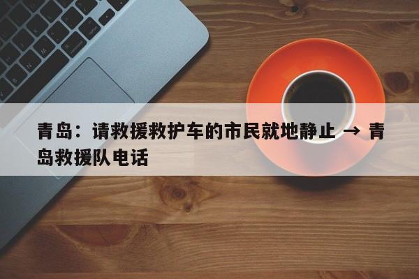 青岛：请救援救护车的市民就地静止 → 青岛救援队电话